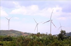 Arranca en provincia vietnamita de Quang Tri construcción de nuevas plantas de energía eólica 