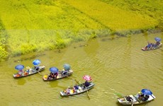 Proyecta Vietnam atraer a 20,5 millones de turistas extranjeros en 2020