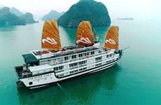 Lanzan crucero Paradise Sails en Bahía de Ha Long