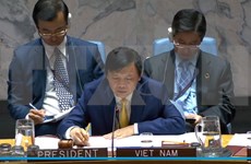 Llama Vietnam a facilitar actividades humanitarias en Yemén 