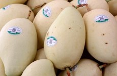 Frutas de Vietnam buscan terreno en el mercado global