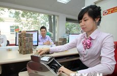 Abogan en Vietnam por política monetaria más flexible para contrarrestar volatilidad global