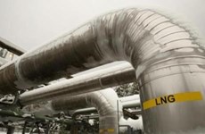 Empresa de Indonesia coopera con China para desarrollar industria de gas natural licuado