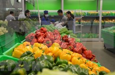Vietnam ve reducidas sus exportaciones de frutas y vegetales en enero