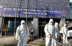 Recomiendan a vietnamitas evitar viajar a zonas afectadas por COVID- 19 en Corea del Sur