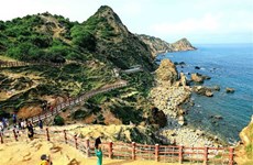 Mercado turístico de Vietnam espera recuperarse en verano