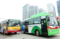 Hanoi por ofrecer servicios gratuitos de ómnibus para personas discapacitadas