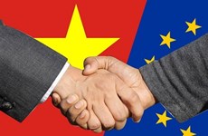 Empresas alemanas interesadas en mercado sanitario de Vietnam