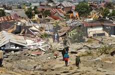 Registra Indonesia cerca de 800 sismos en febrero