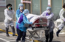 Embajada en Suiza recomienda a vietnamitas evitar viajes a zonas de coronavirus