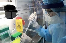 Vietnam no registra casos nuevos de coronavirus 