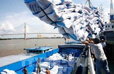 Reanuda Vietnam exportación arrocera mientras garantiza seguridad alimentaria