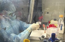 Con dos casos nuevos, Vietnam suma 260 personas infectadas por coronavirus