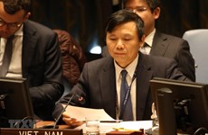 Vietnam apoya a Sudán y Sudán del Sur a resolver disputa en Abyei por vía pacífica