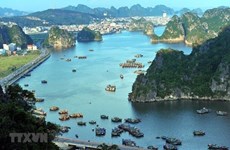 Quang Ninh reabrirá al turismo la Bahía de Ha Long la próxima semana