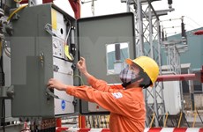 Alcanza empresa eléctrica de Vietnam altos beneficios en 2019