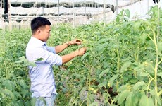 Provincia vietnamita de Bac Lieu promueve el comercio de productos agrícolas