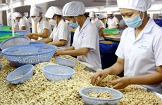 EVFTA ayudará a mejorar cadena de valor de productos agrícolas vietnamitas