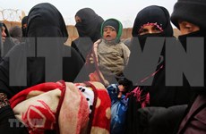 Vietnam pide mayor asistencia humanitaria a Siria