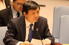 Vietnam comparte en la ONU experiencias antiterroristas de la ASEAN