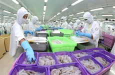 Exportación de productos pesqueros vietnamitas sobrepasa tres mil millones de dólares en 2020