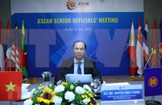 Efectúan reunión en línea de altos funcionarios de la ASEAN