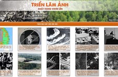 Efectúan exposición de fotos y seminario sobre secuelas de Agente Naranja en Vietnam