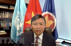 Vietnam condena terrorismo en todas sus formas y manifestaciones