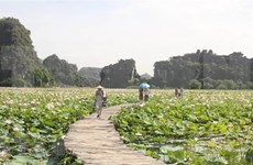 Turismo doméstico de Vietnam aspira a recuperarse después del COVID-19