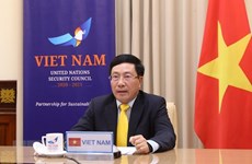 Vietnam asiste a reunión de alto nivel de Consejo de Seguridad de ONU