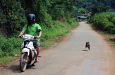 Vietnam por elevar la conciencia pública sobre enfermedad de la rabia