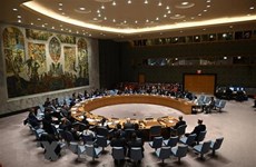 Vietnam valora esfuerzos conjuntos de la ONU y UA en impulso de la paz en África