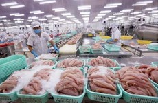 Exporta provincia vietnamita de Khanh Hoa primer lote de atún a UE