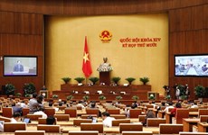 Parlamento vietnamita debate el proyecto de Ley de Protección del Entorno (enmendada)