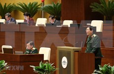 Participación al mantenimiento de la paz de ONU eleva prestigio de Vietnam, según ministro