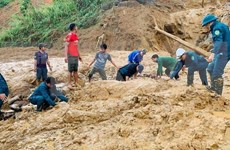 Exhorta premier de Vietnam a aliviar secuelas de calamidades naturales 
