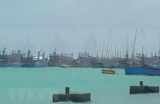 Exhortan en Vietnam a controlar y garantizar seguridad de barcos ante supertifón Goni