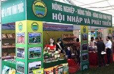 Provincia vietnamita de Vinh Phuc planea captar más de dos mil millones de dólares de inversión extranjera 