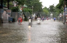 Duodécimo tifón avanza hacia la costa de Vietnam
