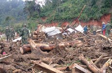 Reportan un fallecido por deslizamiento de tierra en provincia vietnamita