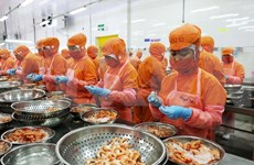 Exportaciones de camarones de Vietnam a Canadá crecen en primeros 10 meses de 2020
