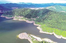 Reconocen a Parque Nacional Vu Quang de Vietnam como patrimonio de ASEAN