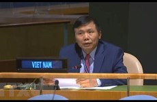 Vietnam pide a la comunidad internacional a cumplir compromisos de apoyo a Iraq