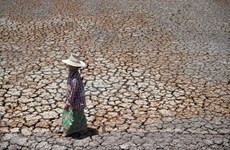 ASEAN y UNESCAP por fomentar la resiliencia ante la sequía en el Sudeste Asiático