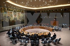 Intensifican cooperación entre miembros no permanentes del Consejo de Seguridad de la ONU