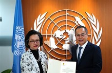 Aprecia órgano de ONU avances de Vietnam en impulso de desarrollo sostenible