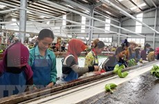 Banco asiático aprueba préstamos millonario para desarrollo agrícola en Camboya