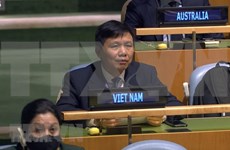 Vietnam llama a fortalecer el diálogo para solución política a crisis en Siria
