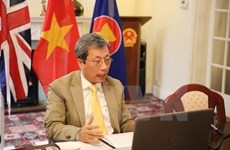 Fundan la sociedad de intelectuales vietnamitas en Reino Unido 