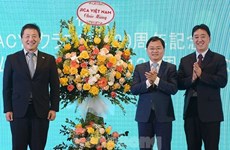 Destacan cooperación juvenil entre Vietnam y Japón